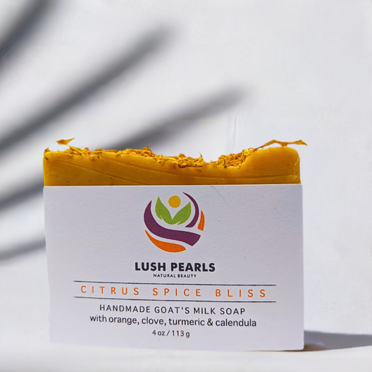 CITRUS SPICE BLISS: Handmade Goat's Milk Soap