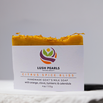 CITRUS SPICE BLISS: Handmade Goat's Milk Soap