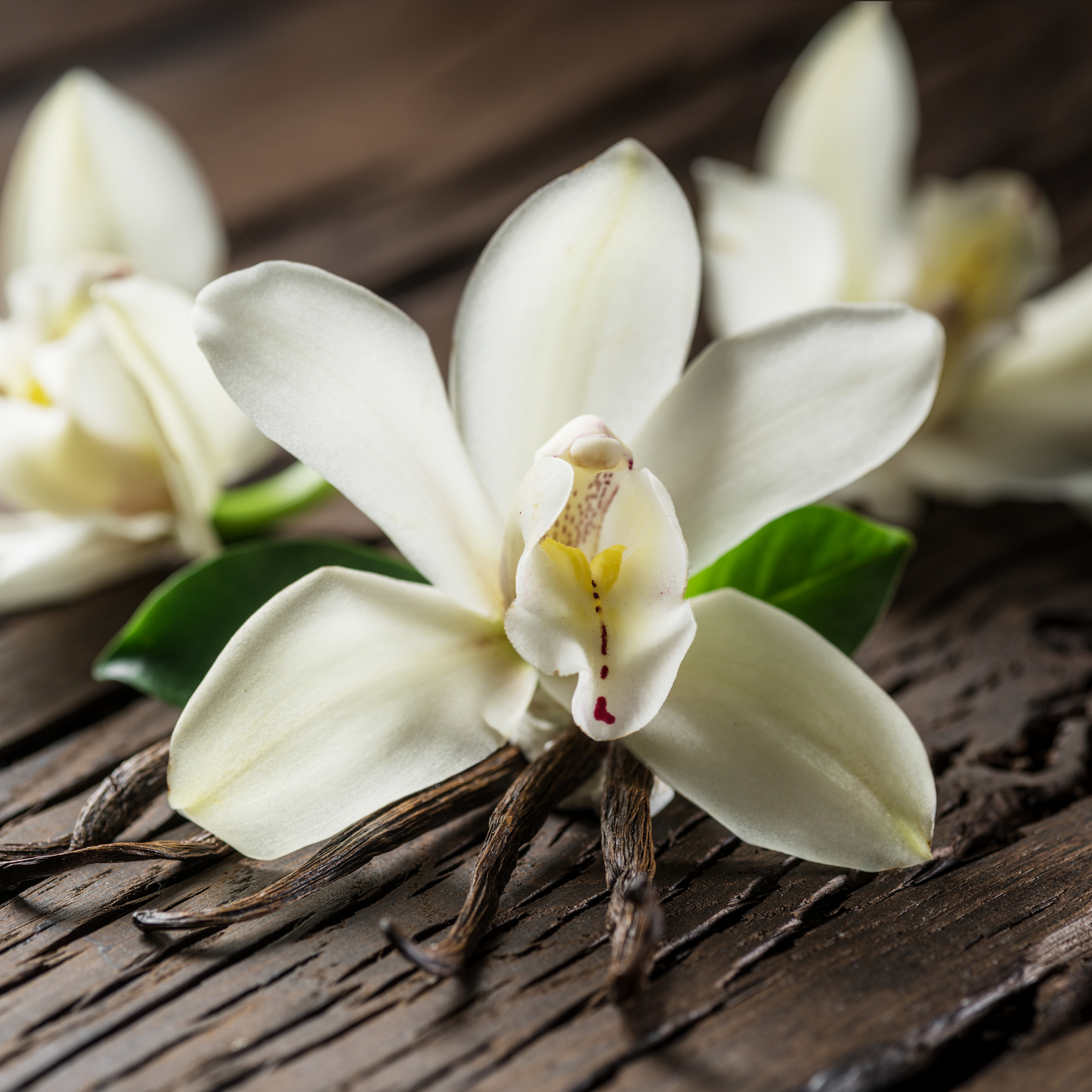 Pure Natural Plant Wax - Aromatherapy Candle