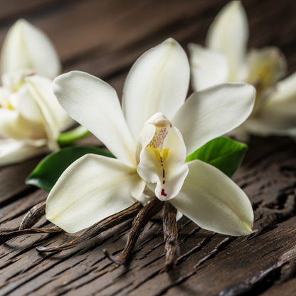 Pure Natural Plant Wax - Aromatherapy Candle